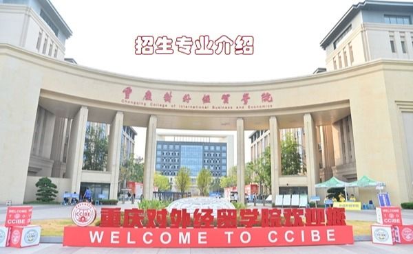 渝ICP备07002828号-1