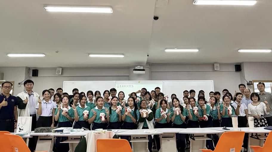 系统推进汉语言文学